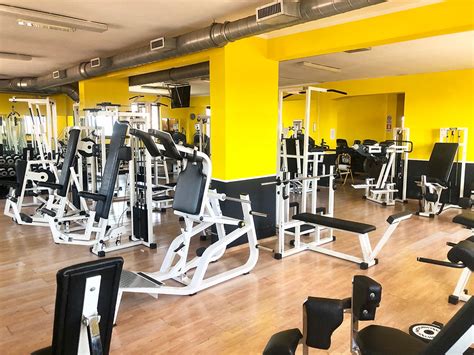 palestra guidonia|Prestige Guidonia 